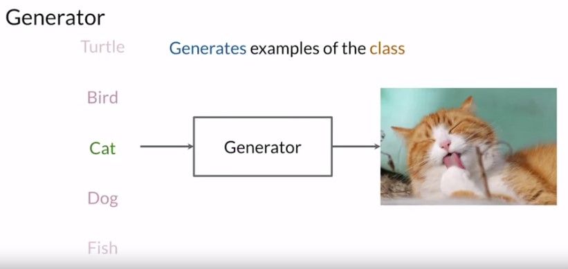 GAN Architecture